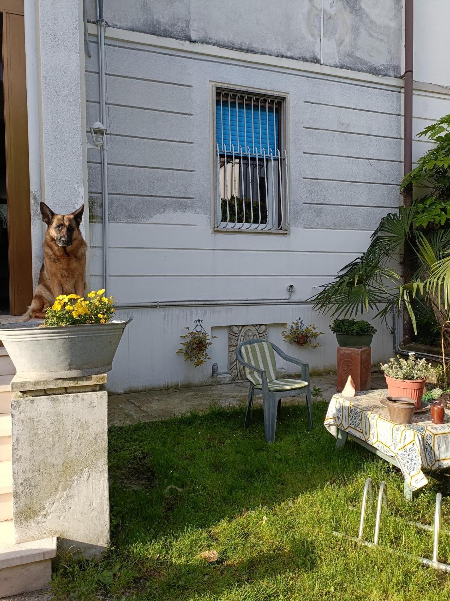 Chez Mavipagi B&B Verona Exterior foto